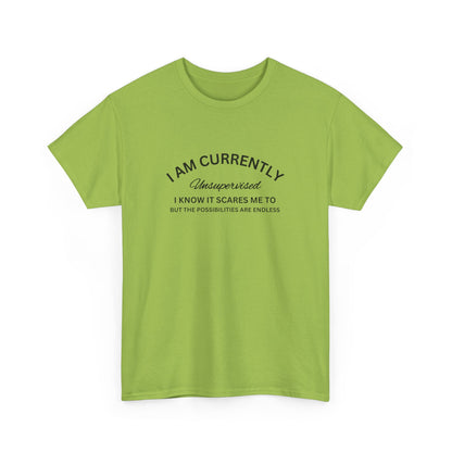 I Am Currently Unsupervised - Unisex Heavy Cotton Tee