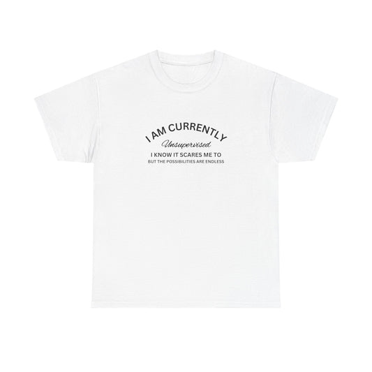 I Am Currently Unsupervised - Unisex Heavy Cotton Tee