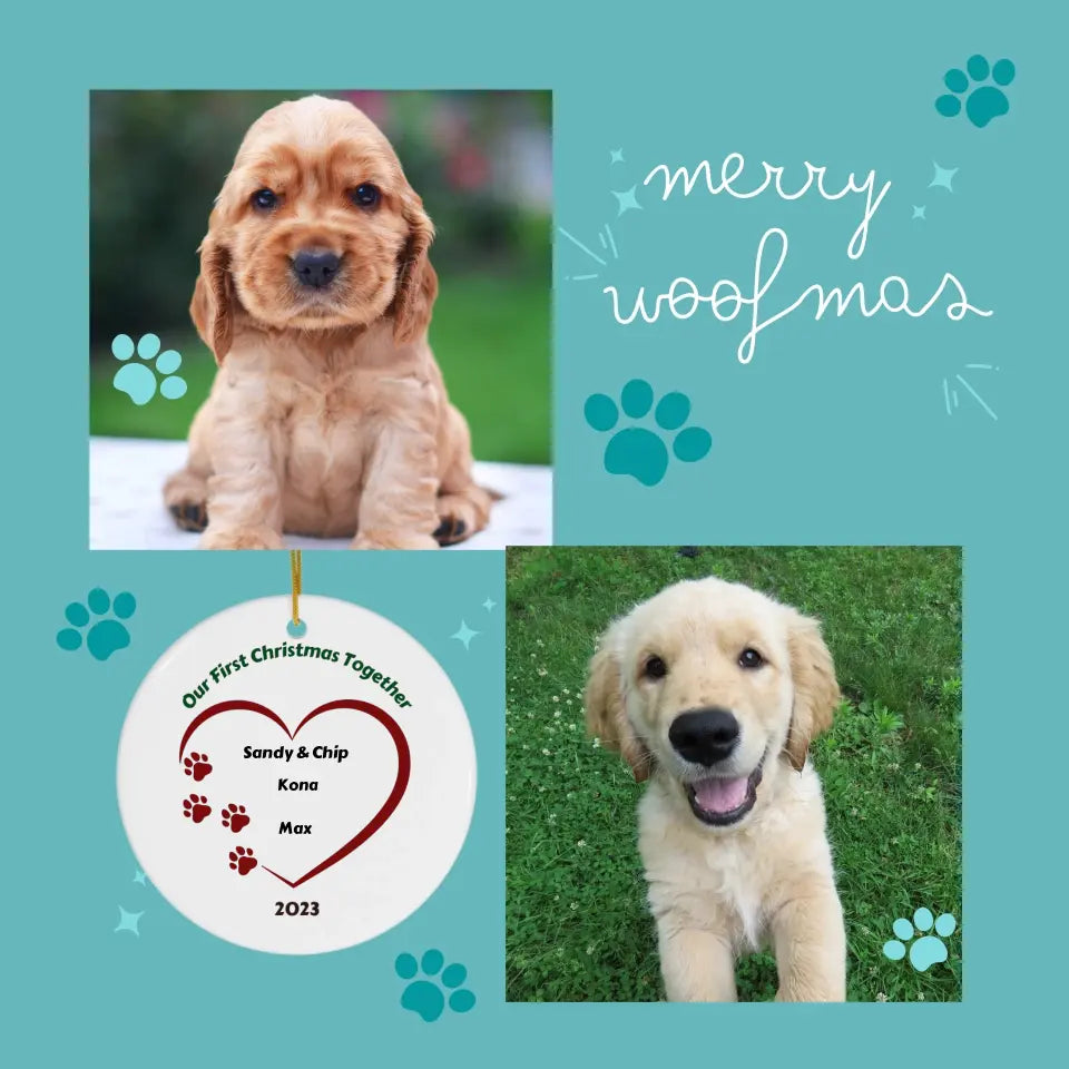 Personalized - Pet First Christmas